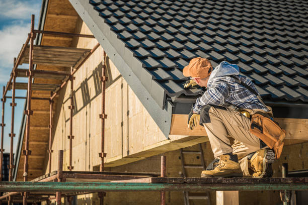 Best Sealant for Roof  in Lamoni, IA